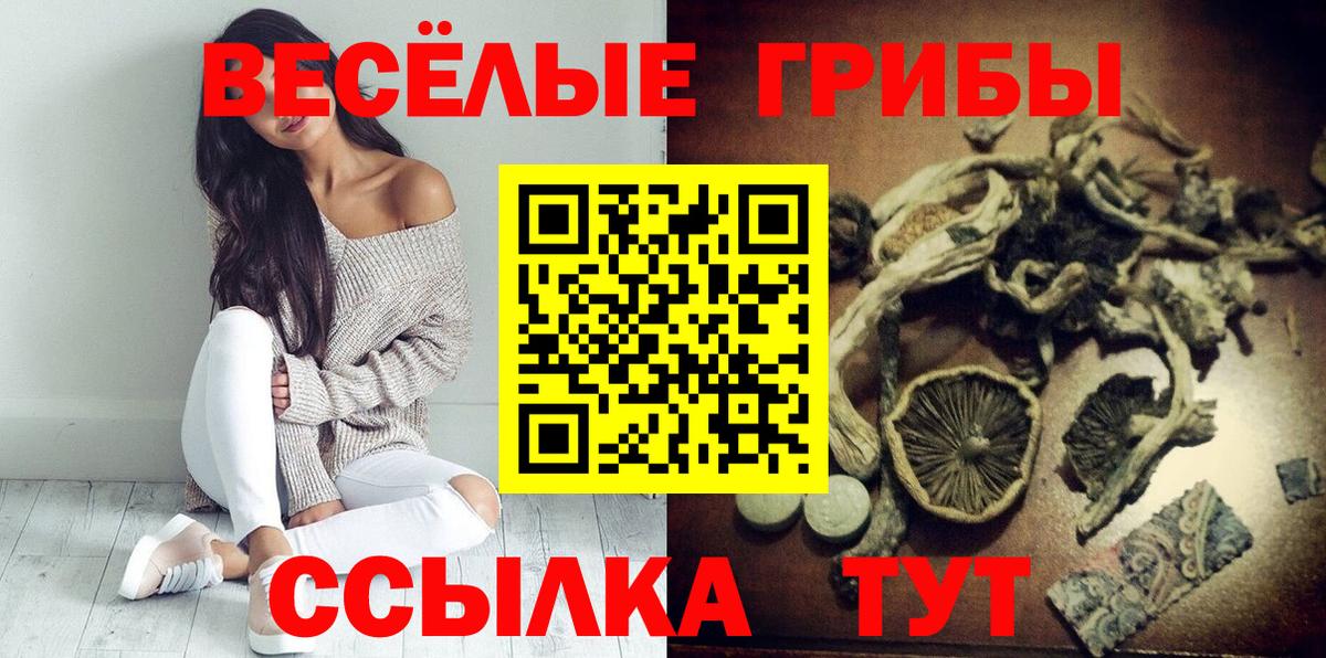 Псилоцибиновые грибы мицелий  Псилоцибиновые грибы мицелий  Вход с VPN  Когалым 